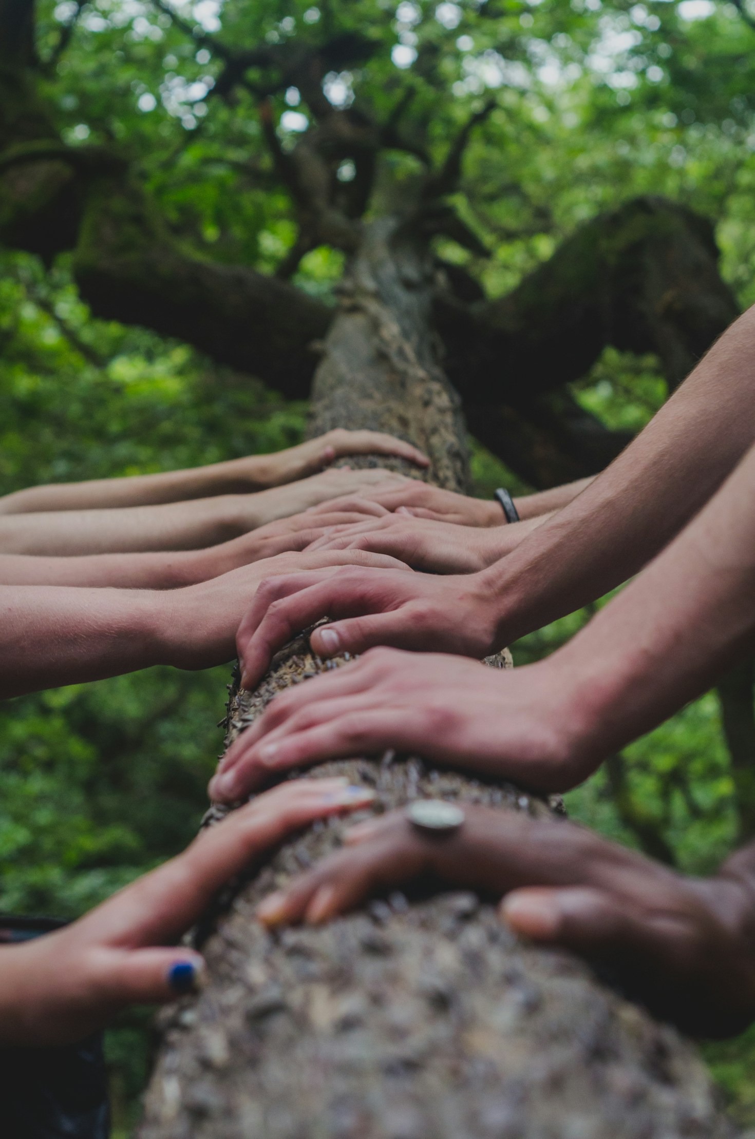 How One Small Act Can Change a Life