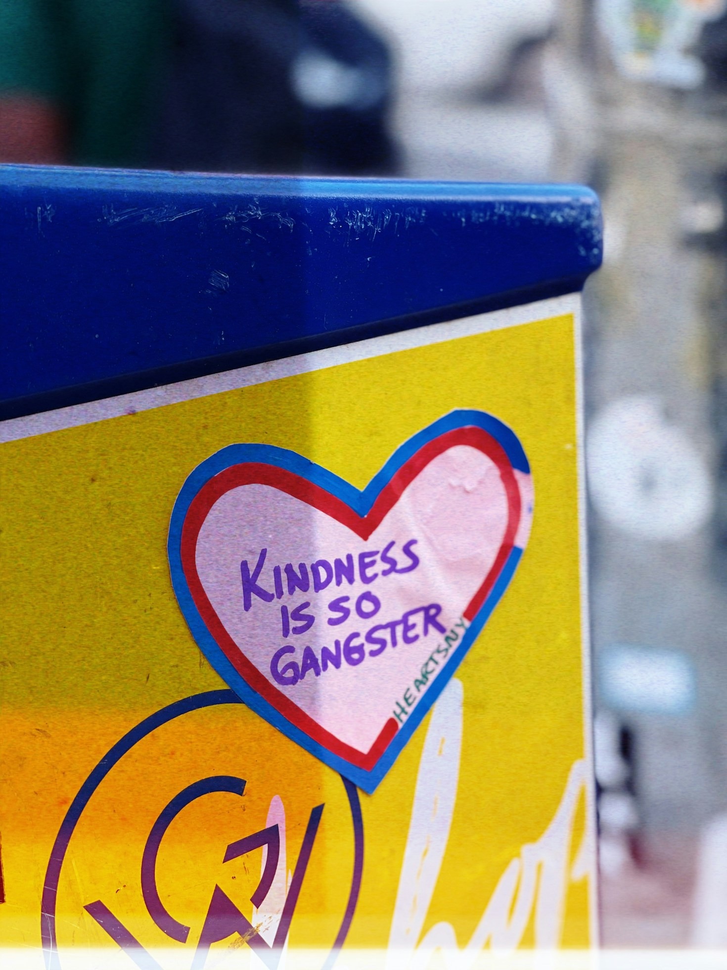 Heartwarming Stories That Restore Faith in Humanity
